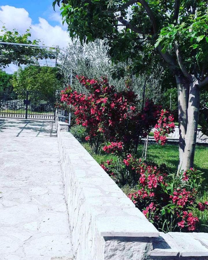 River Side Trebinje Hotel Kültér fotó